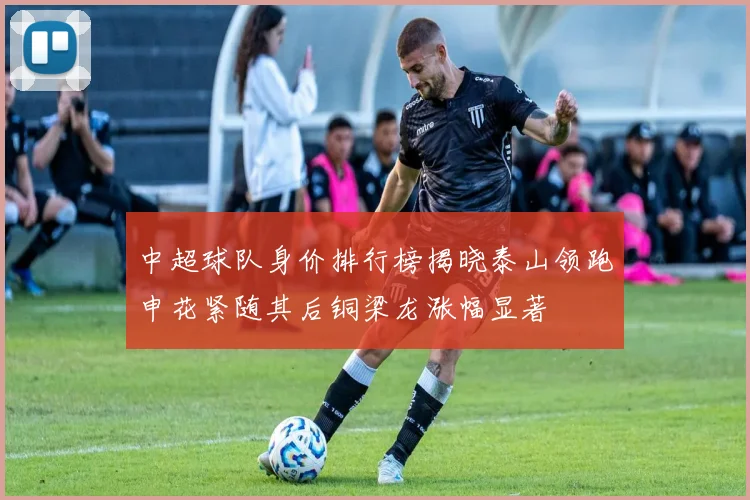 中超球队身价排行榜揭晓泰山领跑申花紧随其后铜梁龙涨幅显著